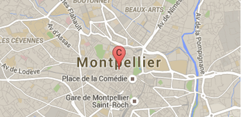 avocat en ligne